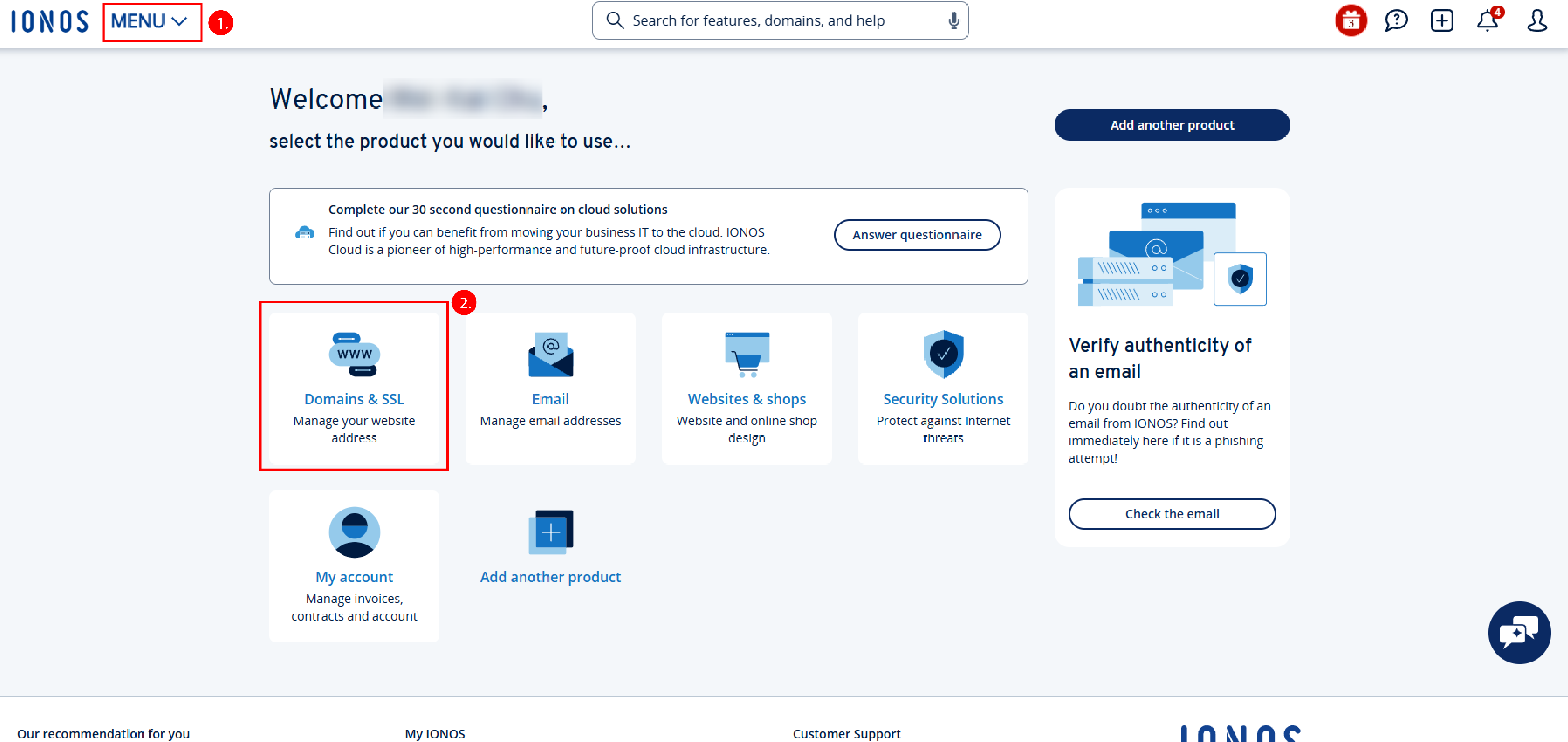 IONOS DNS Portal